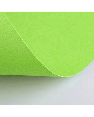Бумага(картон) для творчества (1 лист) Fabriano Elle Erre А2+ 500*700мм, 220г/м2,св.-зелен.,42450710