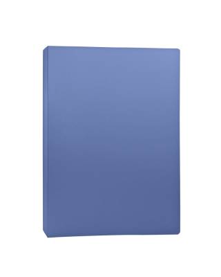 Папка с прижимом А4 255073-02 BASIC, пл. 500 мкм, корешок 21мм, цв. синий