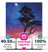 Картина по номерам 40х50 см, ОСТРОВ СОКРОВИЩ "Звездная ночь", на подрамнике, акриловые краски, 3 кисти, 662495