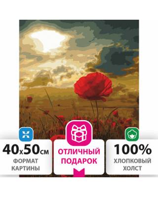 Картина по номерам 40х50 см, ОСТРОВ СОКРОВИЩ "Маковое поле", на подрамнике, акриловые краски, 3 кисти, 662493
