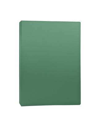 Папка с файлами 255069-03 40ф., А4, BASIC, пл. 500мкм, корешок 25мм, цв. зеленый